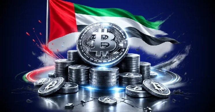 UAE Integrates Avalanche Blockchain Into National Digital ID Platform