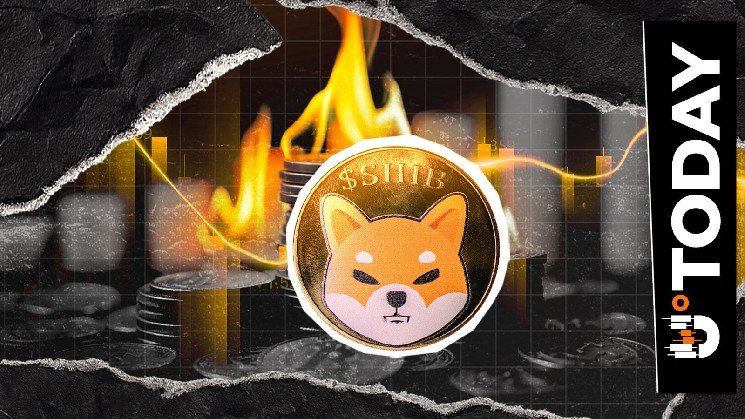 Only $29 in SHIB Burned: Who's Behind Low 24-Hour Total?