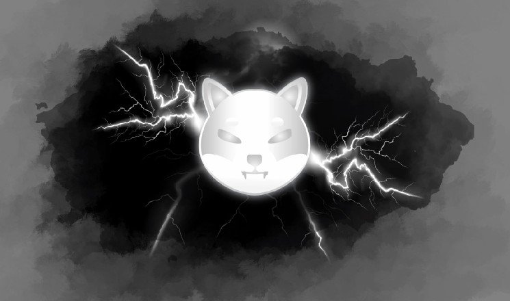 Shiba Inu (SHIB) Loses 78% in One of the Most Important Metrics for Price
