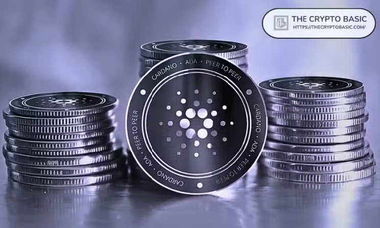 Cardano Privacy Sidechain Midnight Winds Down Developer Relations Team