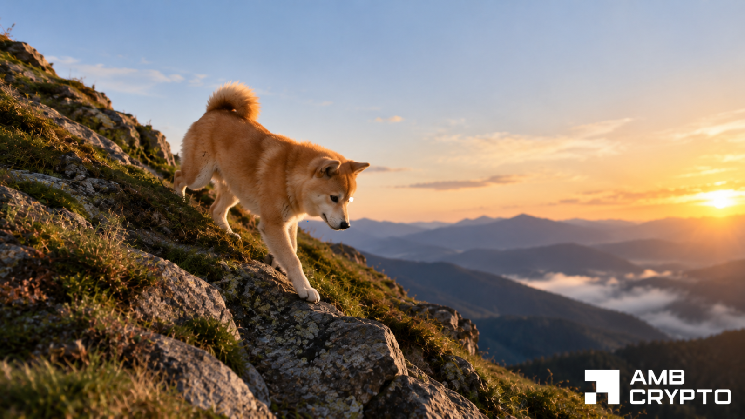 Dogecoin whales accumulate 240M DOGE – Why is price still falling?