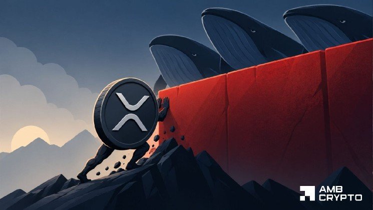 XRP sees $206.6M whale transfer – Could heavy supply cap the recovery?