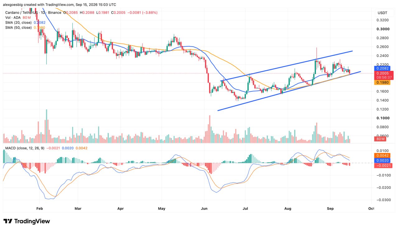 Cardano Price Analysis: ADA Slips Despite Mastercard Deal