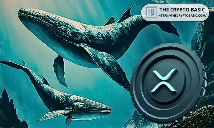 XRP Whale Transactions Pull $165M+ from Exchanges, Highest Since February