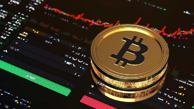 A Strong Warning from a Macro Strategist: “Don’t Let Bitcoin’s Rise Fool You…”