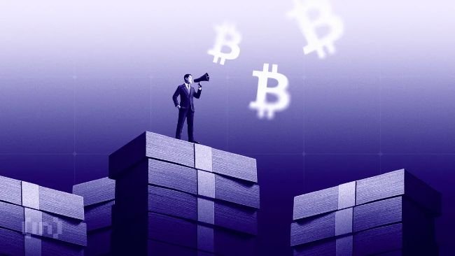 Long-Term Bitcoin Holders Just Stopped Selling After a 260,000 BTC Dump