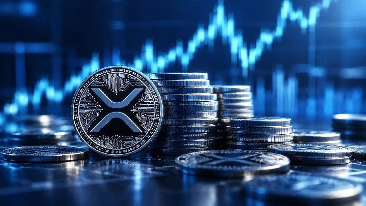 85 New XRP Millionaire Wallets Appeared Before the 67% Rally — What Happens Next?
