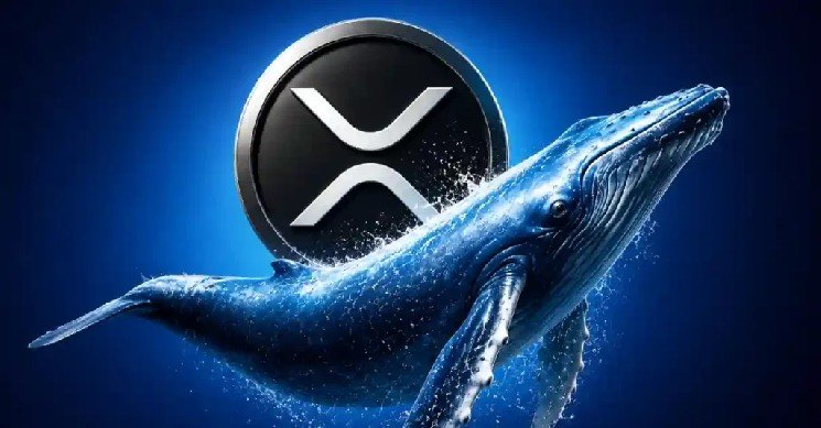 ‘They’re Not Waiting Anymore’: Evernorth CEO On A Decade-Long Wall Street U-Turn On XRP