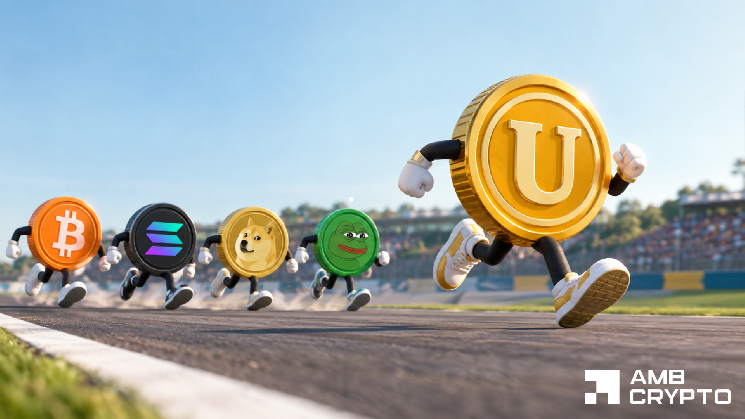 Useless Coin rallies 15% while crypto turns red – 2 signals define its next move
