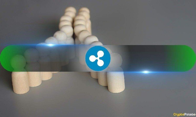XRP’s 70% Breakout Had a Warning Sign: 85 Millionaire Wallets Moved First