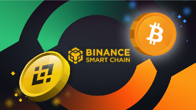 How to Buy Crypto Presales On Trust Wallet With BNB: Gas, Slippage And Transaction Confirmation