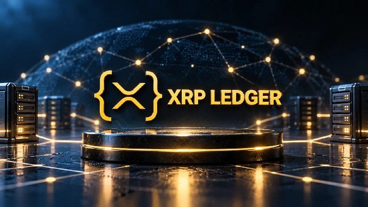 Flare Founder Proposes XRP-to-RLUSD Borrowing Directly From XRPL