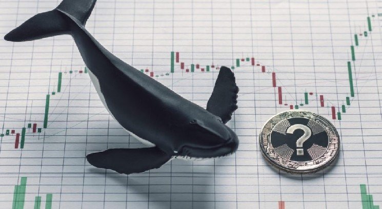 Whale Activity in Bitcoin and Altcoins After the FED Decision! Here are the Details and the Altcoins They Traded