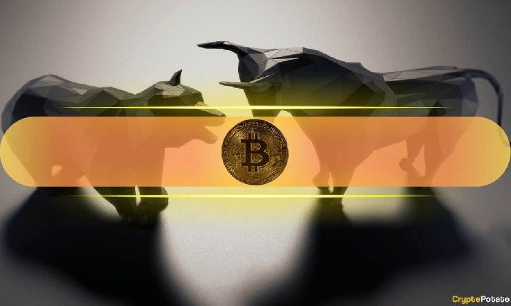 From Bear to Bull: Analyst Says Bitcoin UTXO Data Points to a Cycle Shift