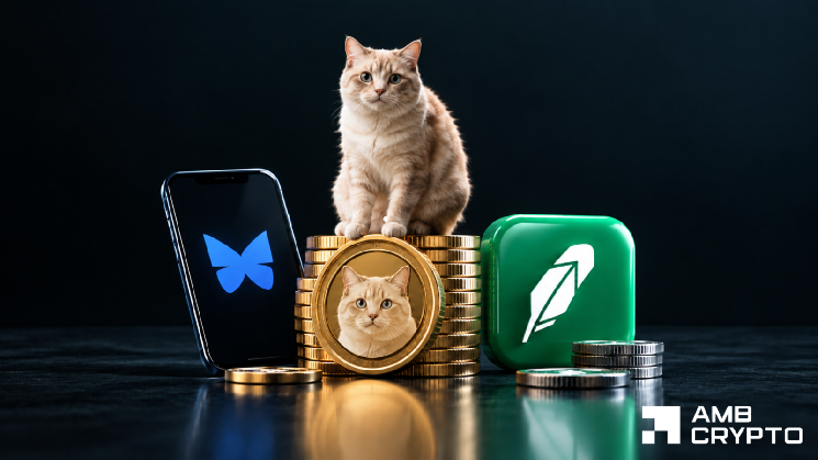 CASHCAT rallies 32% as DeFi utility grows – Is the correction over?