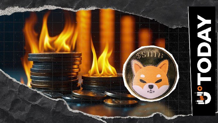 SHIB 100% Burn Crash: Rare $0 Day Hits Shiba Inu