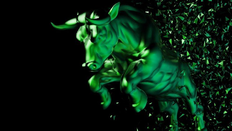 Will the Rally in Altcoins Continue? Has the Bull Market Begun? Analysts Weigh In