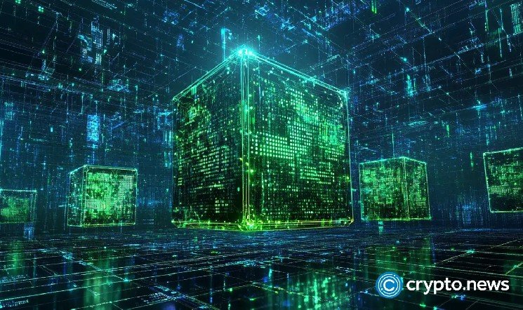 MultiversX investigates potential mainnet issue