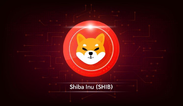 Shiba Inu (SHIB) Builds 'Bull Combo': Will Weekly Chart Finally Delete a Zero?