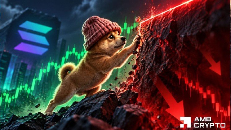 WIF price prediction — Here’s why a pullback may be next despite 13% hike