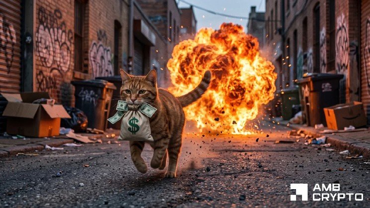 CASHCAT falls 30% – But this same support level has historically triggered rallies