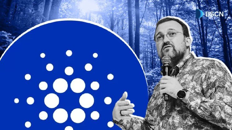 Meet Charles Hoskinson: Crypto's Most Outspoken Academic-Minded Founder