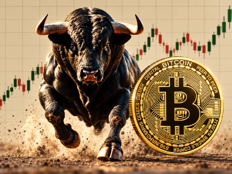 Hot Moments in Bitcoin—Why Did the BTC Price Surpass $86,000? Here Are the Latest Data and Liquidations