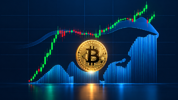 Following the Bitcoin Rally, a Leading Analyst Predicts a New All-Time High