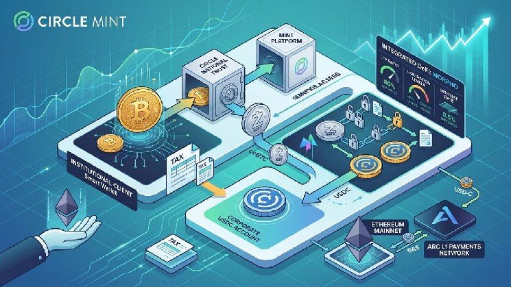 Circle Launches Bitcoin-Backed USDC Loans for Institutions Through Circle Mint