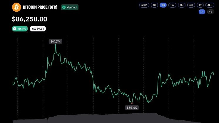 Bitcoin Liquidations Drop Sharply as BTC Price Holds Above $86,000