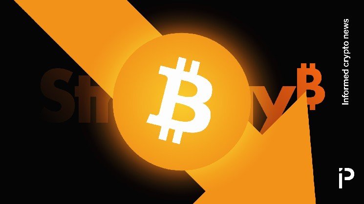 Bitcoin treasury stocks have gone ice cold