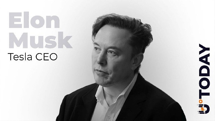 Elon Musk Brings Back His Wild NFT Avatar Moment