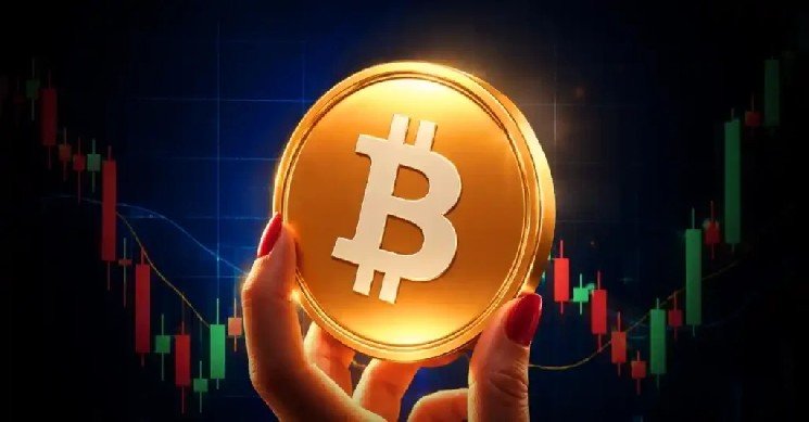 Why Is Bitcoin Price Going Up Today? Rally Defies Every Bearish Catalyst