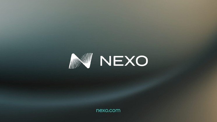 Operational friction, not risk, is blocking wealthy investors from crypto wealth building, Nexo finds
