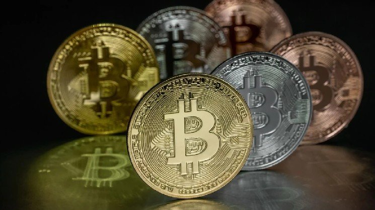 Venice Chooses NEAR Protocol for Blockchain Initiatives