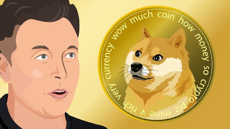 Dogecoin Faces Deep Discount as Elon Musk Reappears on Crypto Timeline