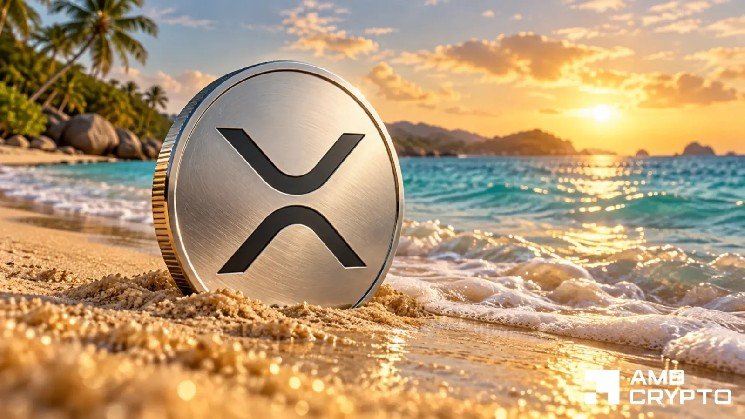 XRP price rebounds after 8% drop as holder addresses reach 8.15M
