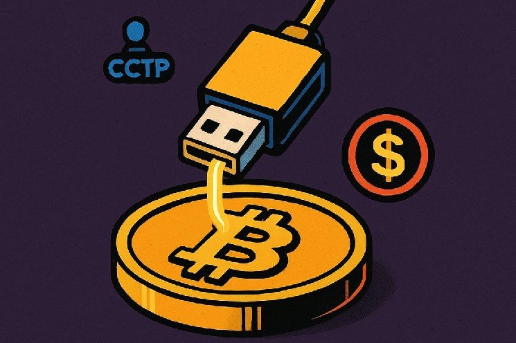 USDC stablecoin coming to Bitcoin through Alpen will let holders borrow dollars without moving BTC