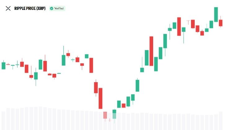 XRP Community Takes Center Stage in Evernorth's Nasdaq Plans