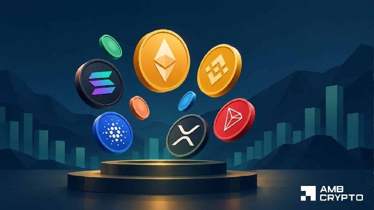 Altcoins gain $371B since June – Can the rally survive rising exchange deposits?