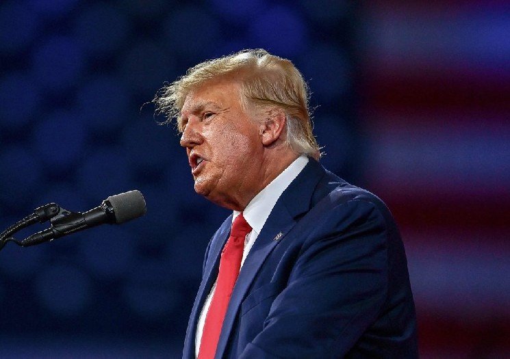 BREAKING: Donald Trump Is Considering Appointing a Ripple (XRP) Foe as AI Czar