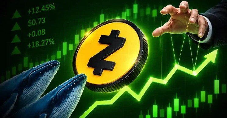 ZEC Price Consolidates as Whales Accumulate—Is Zcash Heading to $2000 in October?