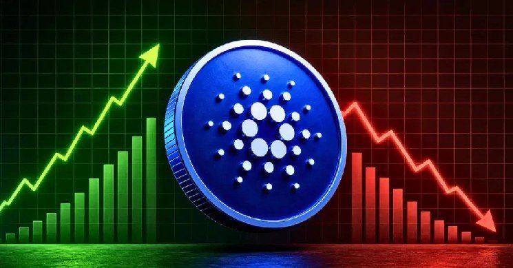 Cardano Hits $0.25 on Petrobras Adoption: Next ADA Buy Zone Revealed
